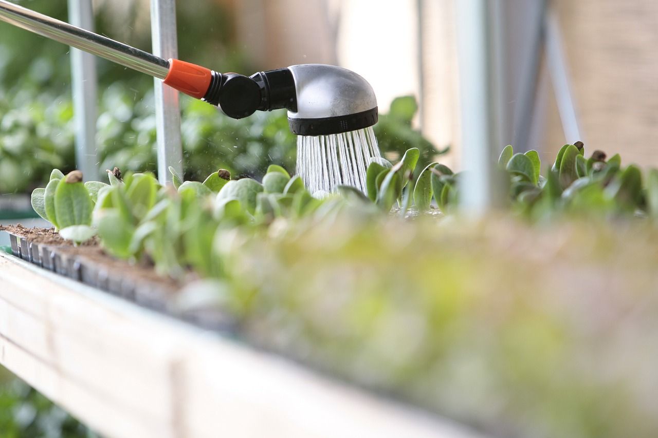 Czy warto zainwestować w system nawadniania ogrodu?