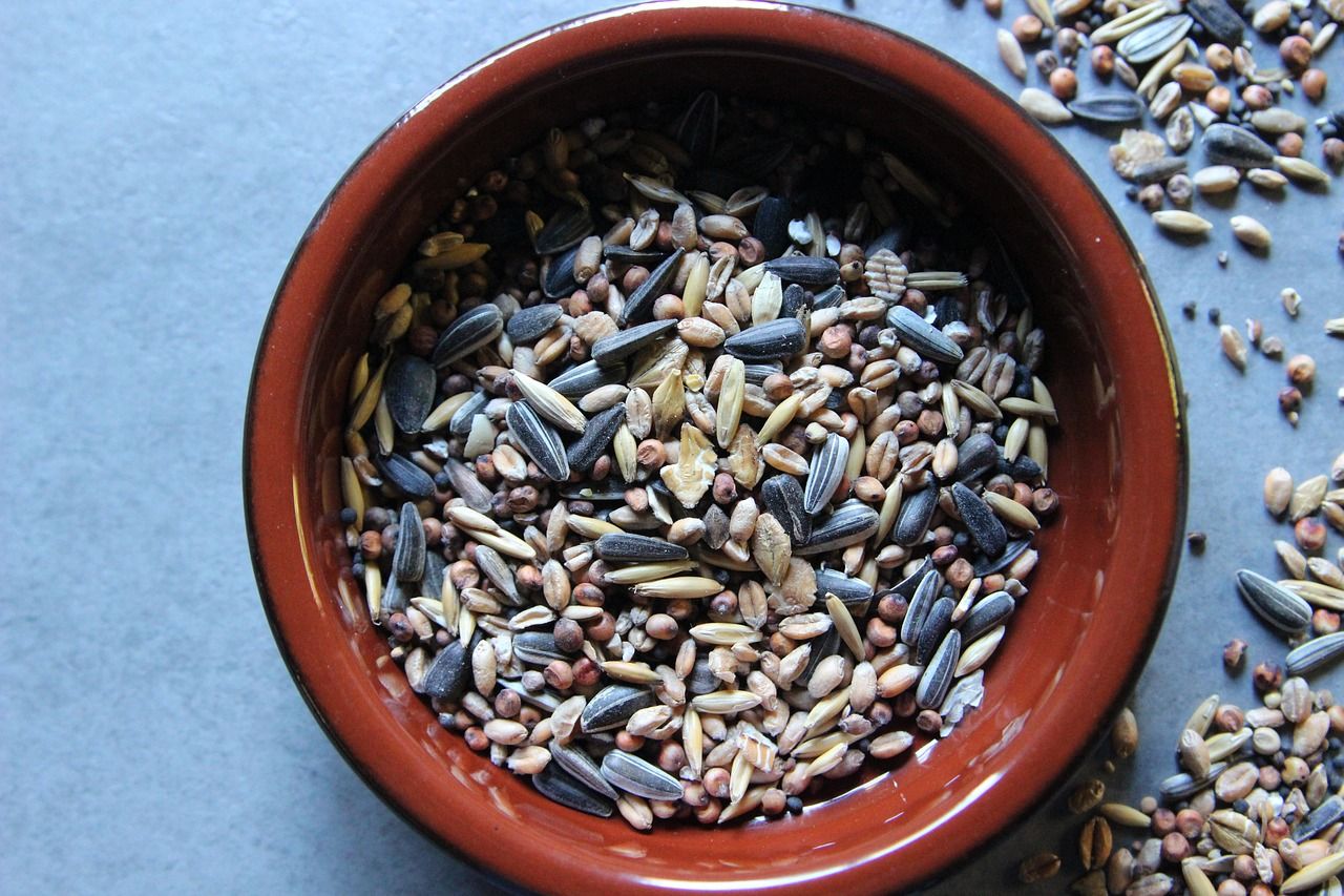 Jakie nasiona i pestki warto włączyć do diety?